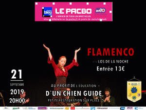 FLAMENCO PAR LOS DE LA NOCHE